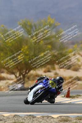 media/Apr-10-2022-SoCal Trackdays (Sun) [[f104b12566]]/Turn 5 Tree of Life (1040am)/